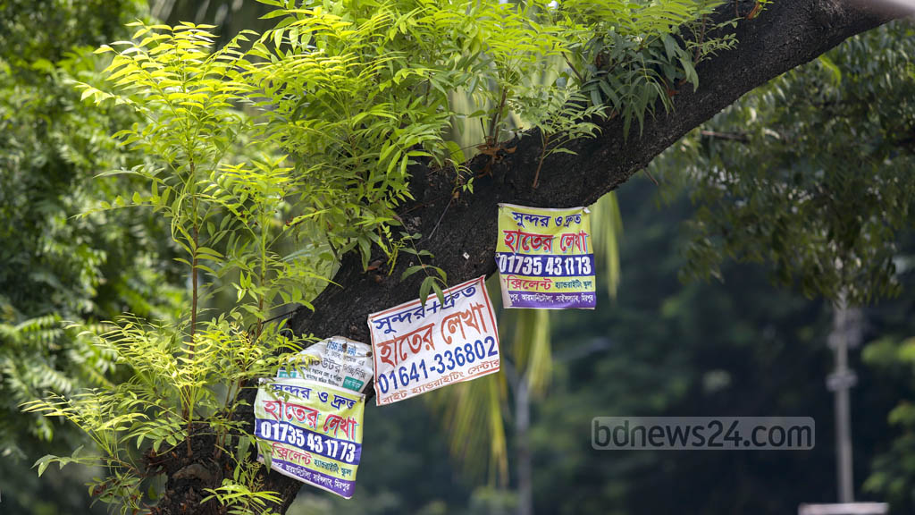 পেরেক ঠুকে বৃক্ষনাশ