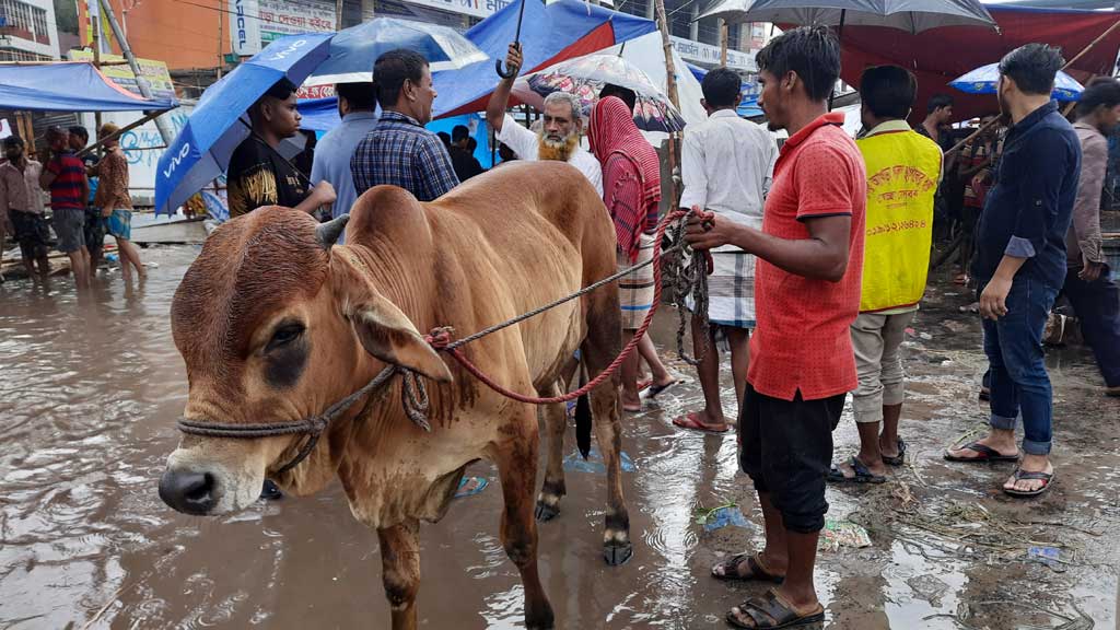 দনিয়া হাটে জল-কাদায় মাখামাখি হয়ে পড়ায় ক্রেতা ছিল কম 