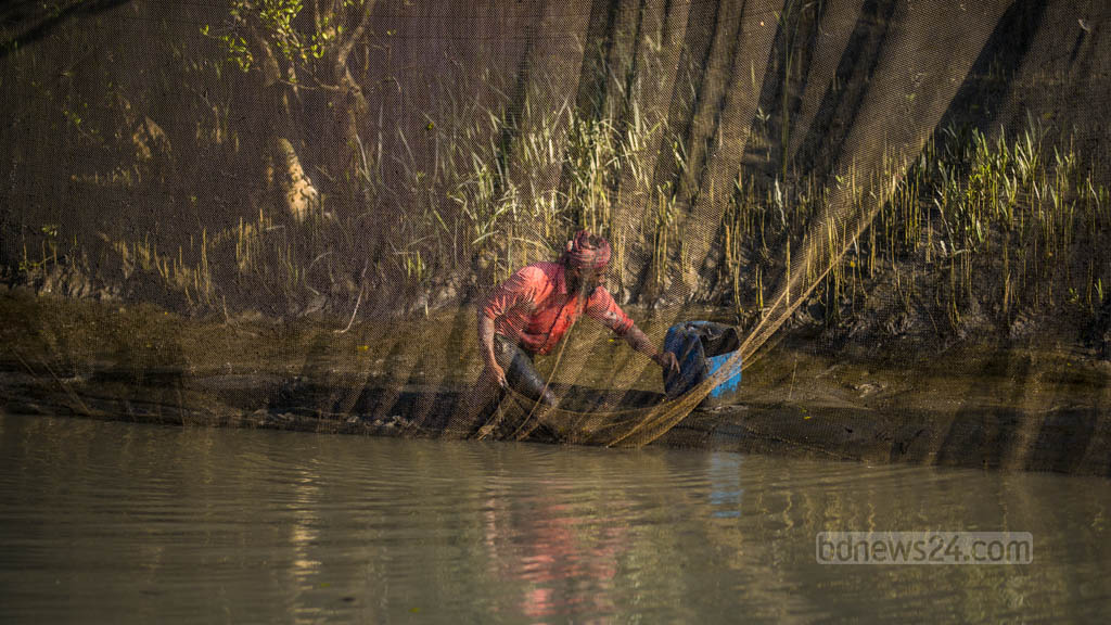 দস্যুমুক্ত সুন্দরবন—সরকারি ঘোষণার ‘লেবেনচুস’