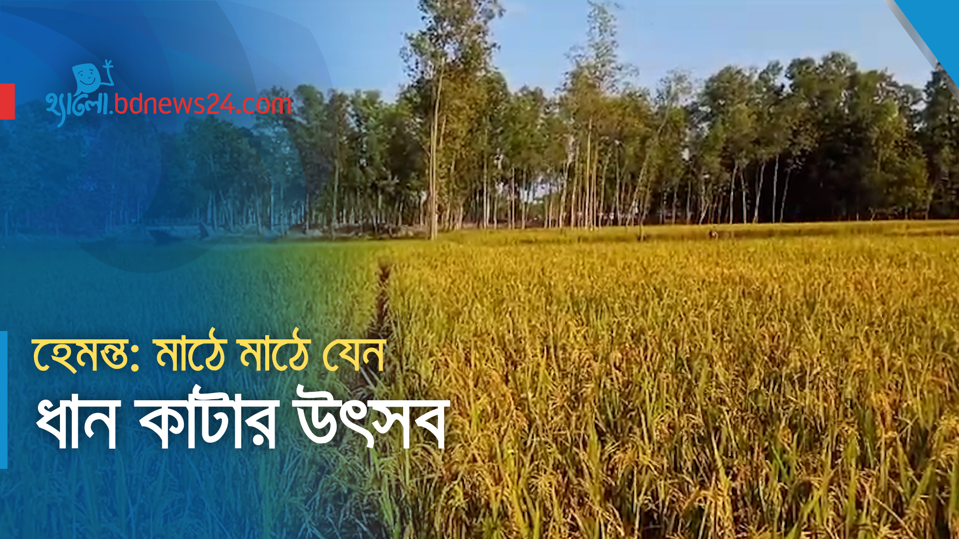 হেমন্ত: মাঠে মাঠে ধান কাটার উৎসব