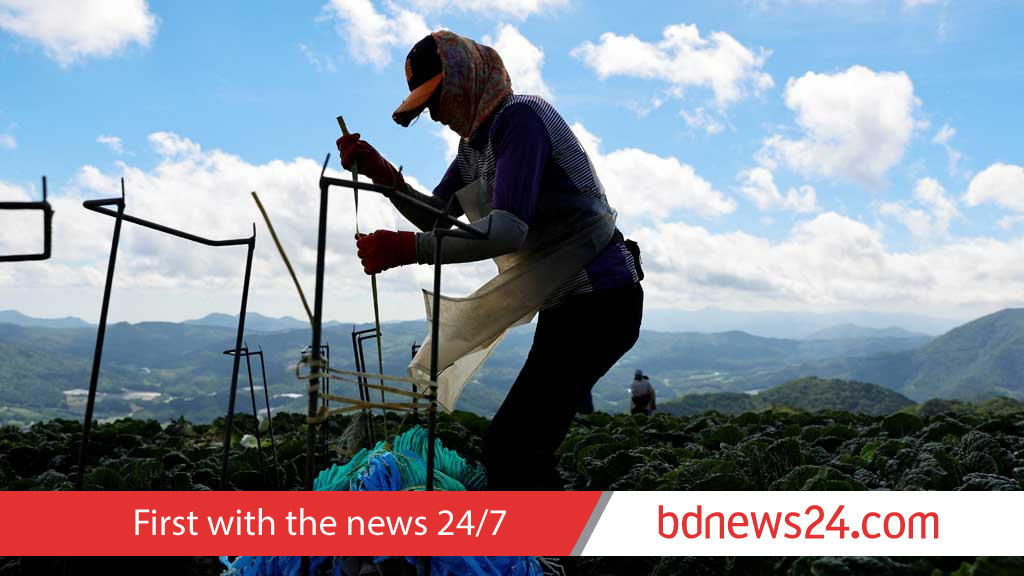 South Korea jobless rate falls in August to record low