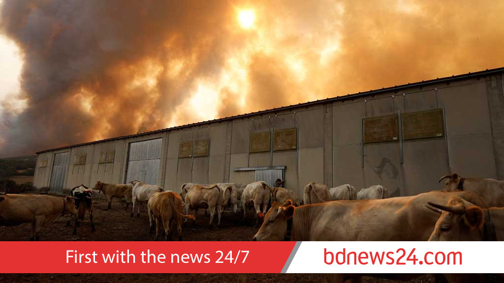 Spain battles 14 major fires, more expected