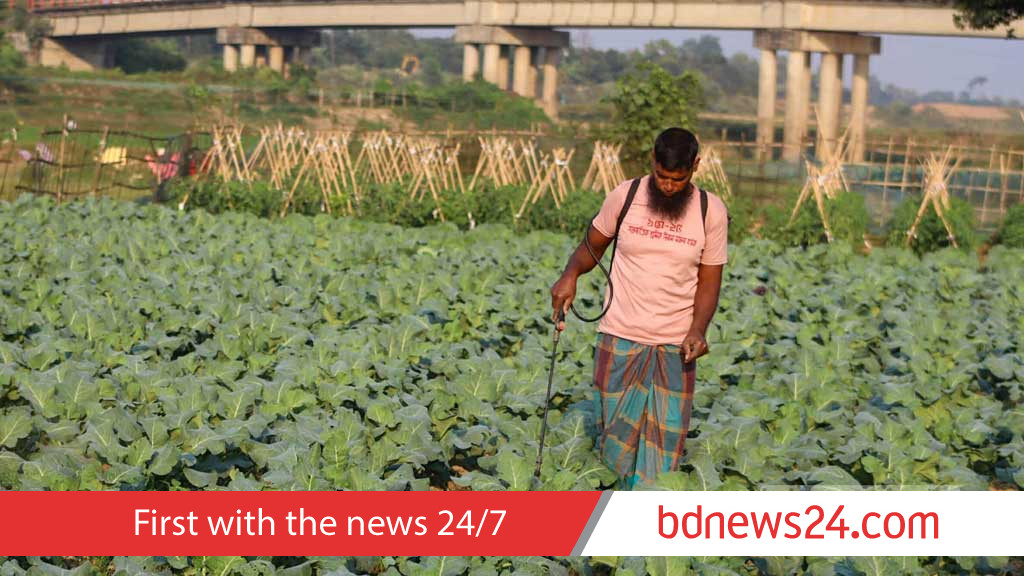 Acid ruins farming lands, yield decreasing