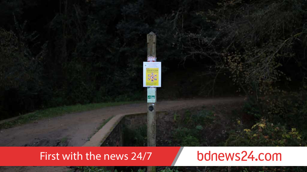 Spain to cull wild boars after swine fever outbreak