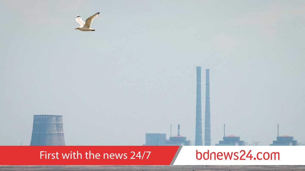 Ukraine’s Zaporizhzhia nuclear plant briefly loses power