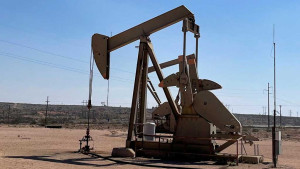 Oil falls on signs of weak US demand