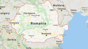 Motorcyclist killed in bear attack on Romanian mountain road