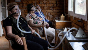 Air from beehives comforts Turkey patients