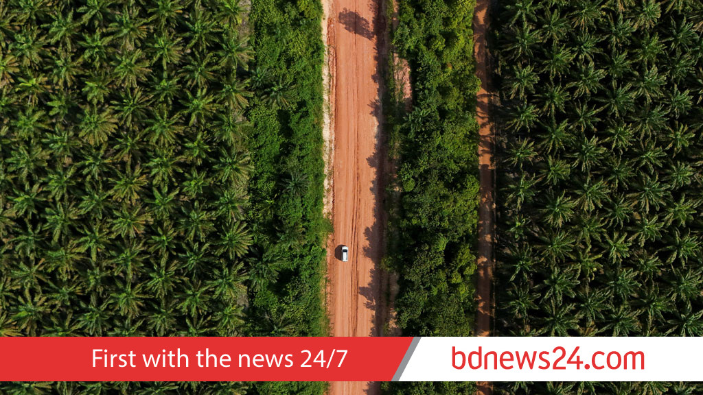 Thousands protest against Indonesia’s Riau palm oil takeover