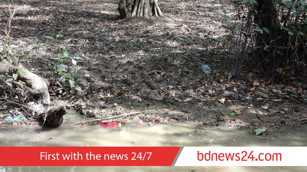 Ratargul crisis: Illegal fishing and tourist litter endanger Sylhet’s freshwater swamp forest