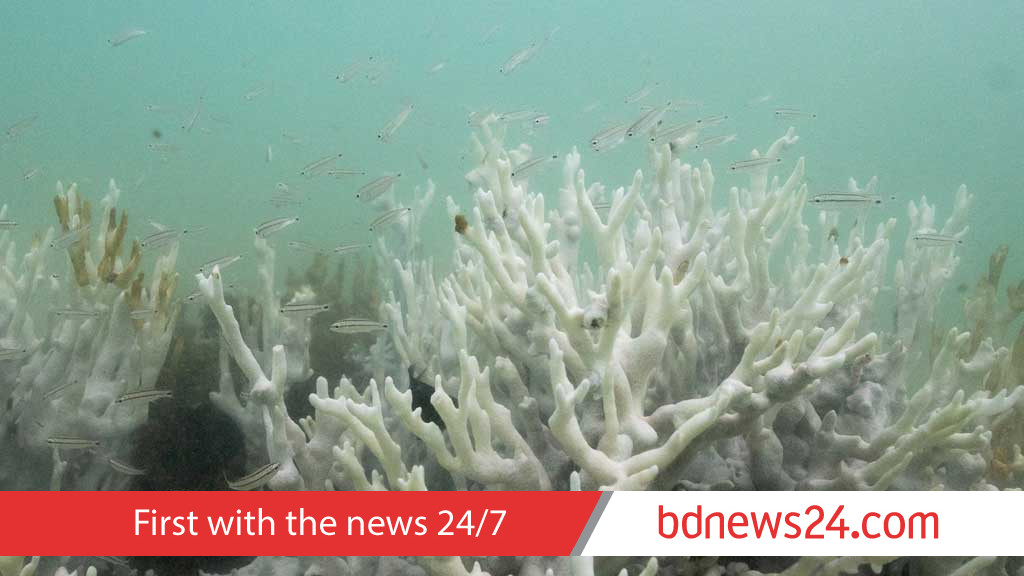 Climate tipping points are being crossed, scientists warn ahead of COP30