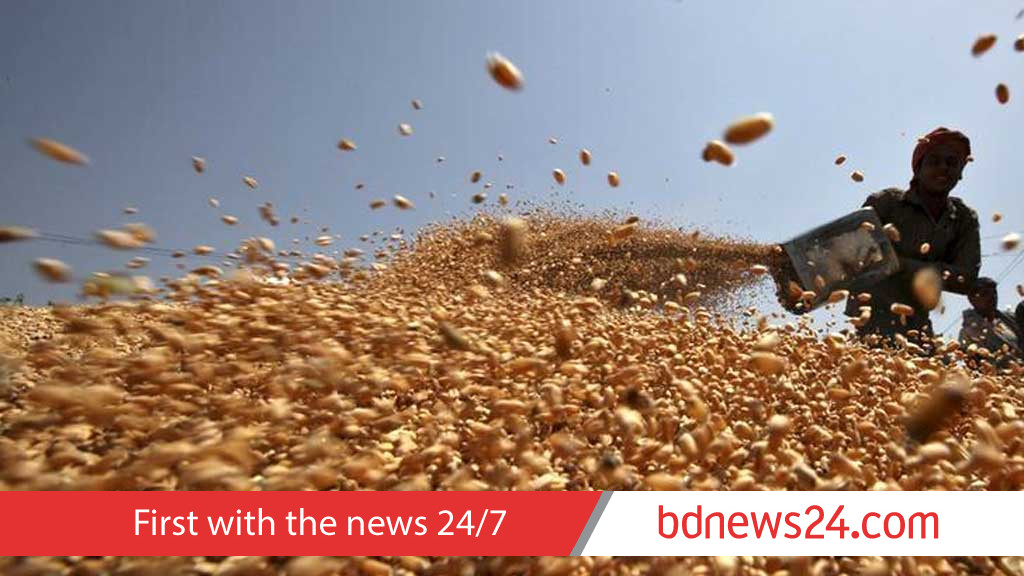 India raises wheat purchase price by 6.6% to boost output