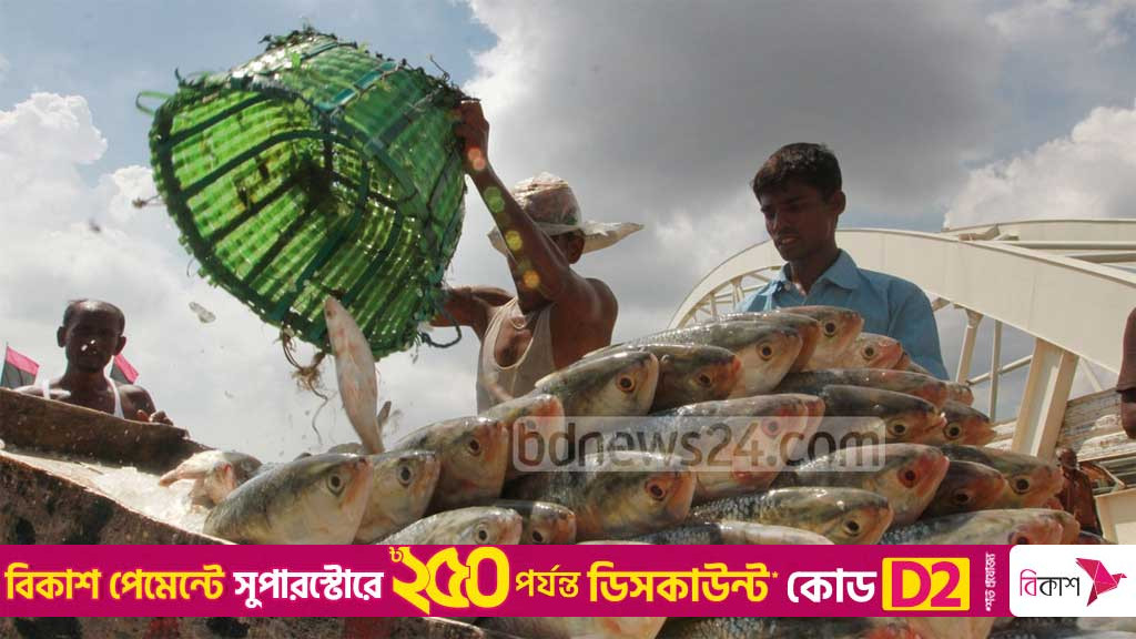 Bangladesh to export 1,200 tonnes Hilsa to India for Durga Puja