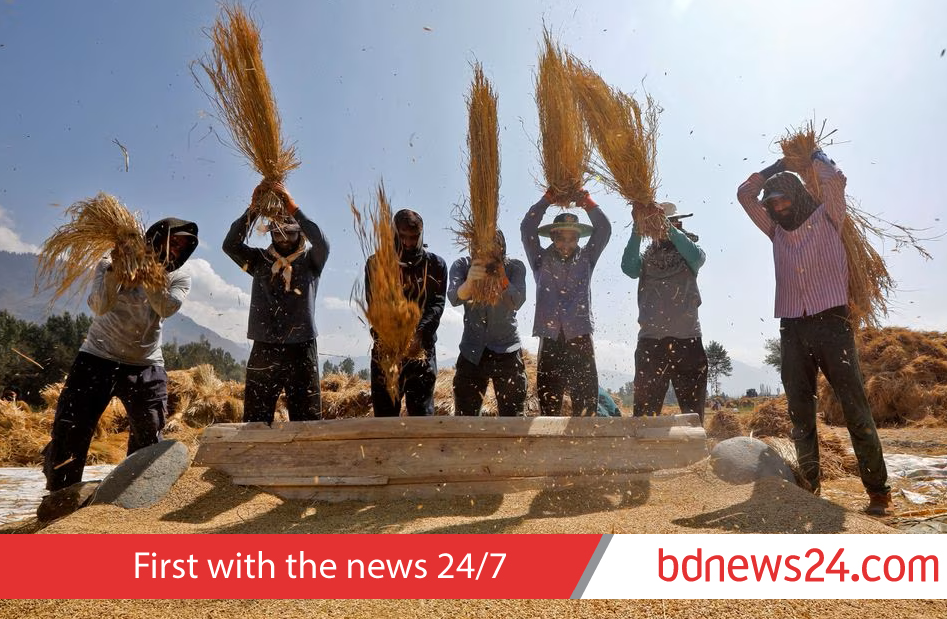 Flood-hit India, Pakistan face rising basmati prices amid crop losses