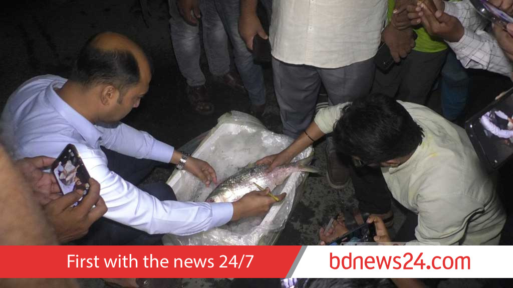Bangladesh begins hilsa exports to India with 37.5-tonne consignment ahead of Durga Puja
