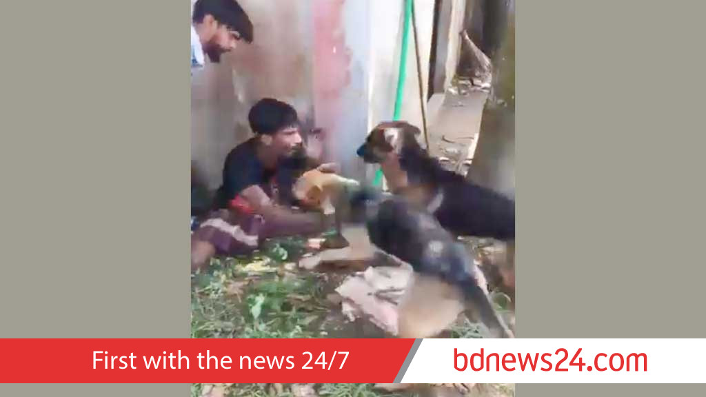3 held in Cumilla after video of dogs unleashed on alleged thief sparks outrage
