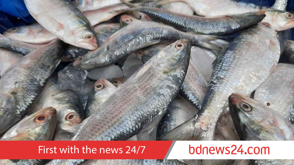 Experts say four to six price hikes for each hilsa, with 60% increase at each transaction