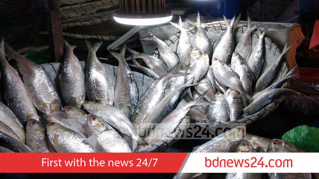 Bangladesh allows 37 firms to export Hilsa to India for Durga Puja