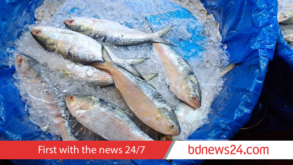 Vegetable prices stay stubbornly high, hilsa makes festive comeback