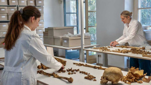 Genome study uncovers post-Roman changes