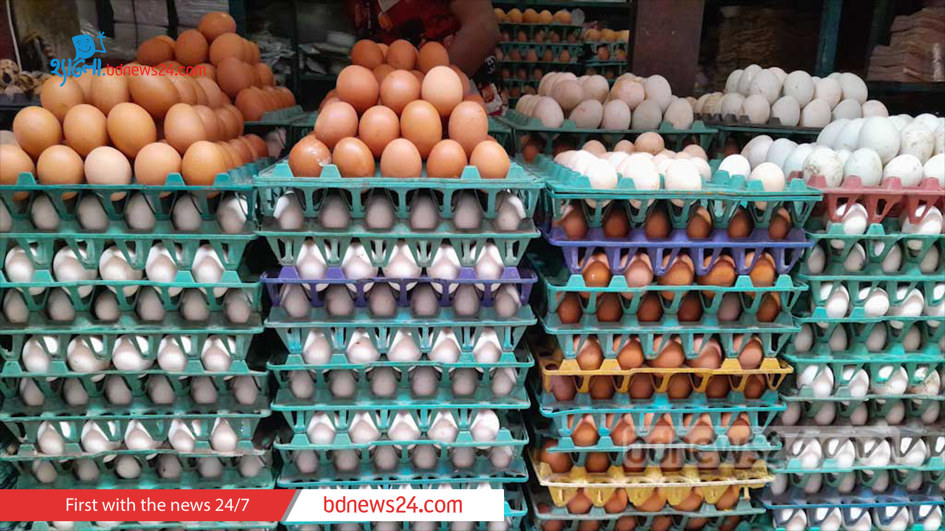 Saudi bans poultry, egg imports from Bangladesh