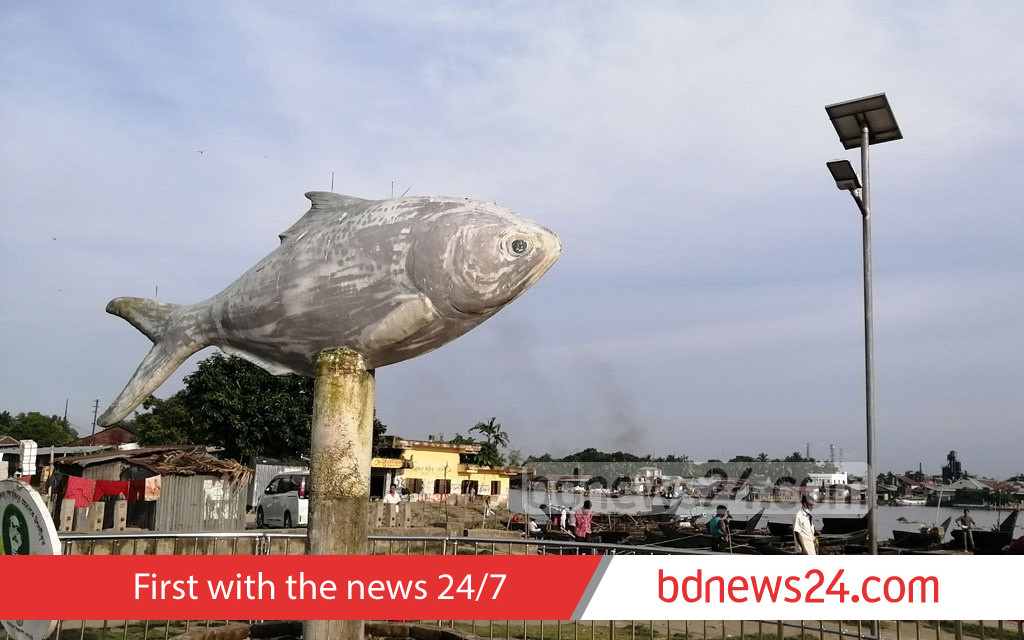 No approval for artificial hilsa farming: govt