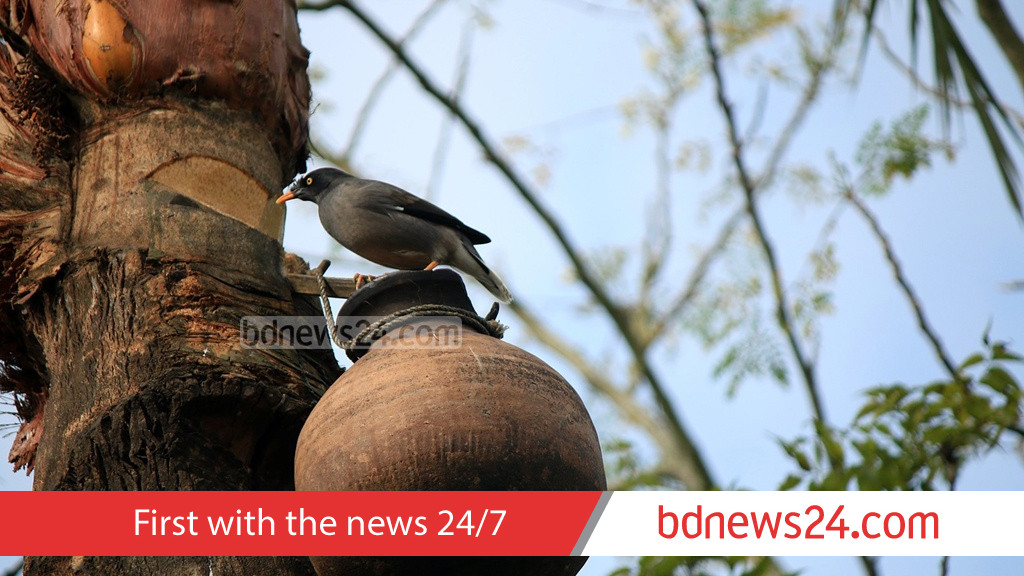 First Nipah death of the year reported in Bangladesh