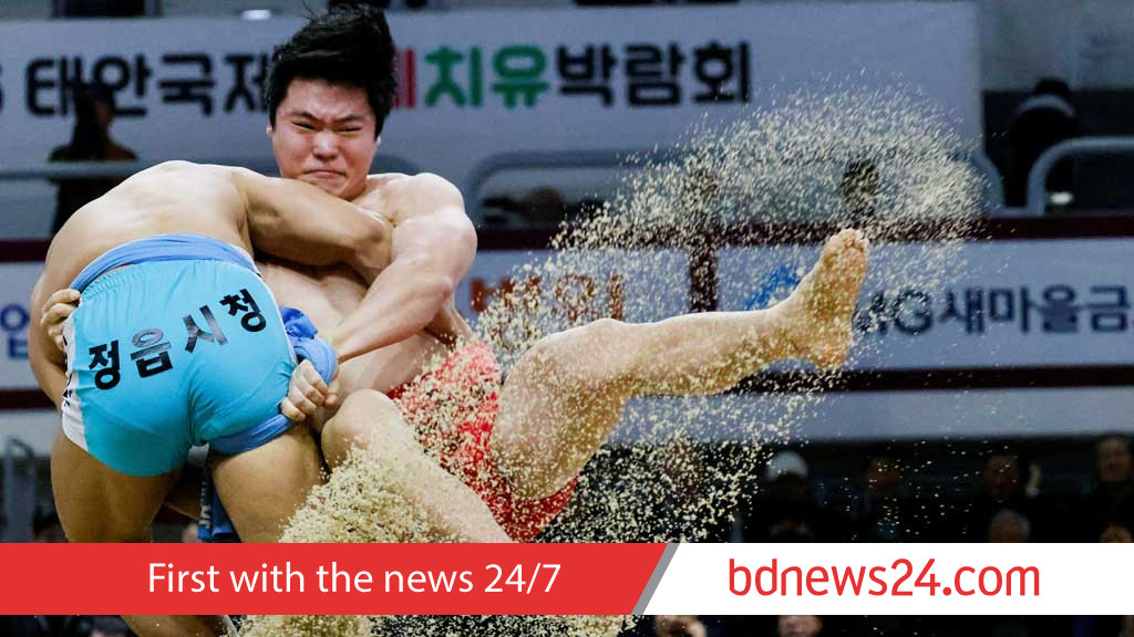 Traditional Korean wrestling fights for survival