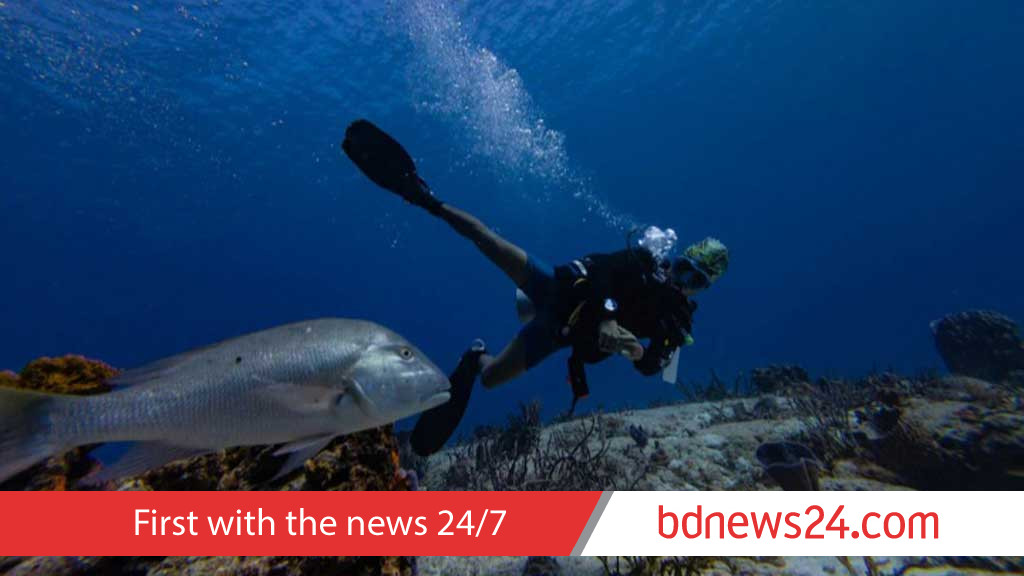 UN biodiversity treaty enters into force