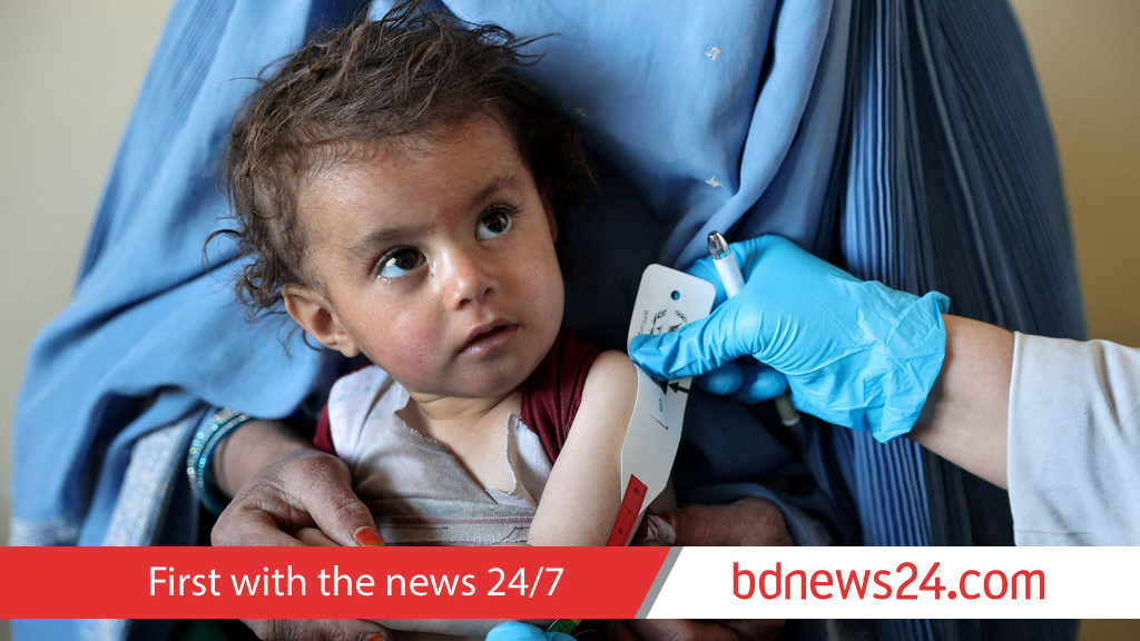 Afghanistan launches $100mn food security programme