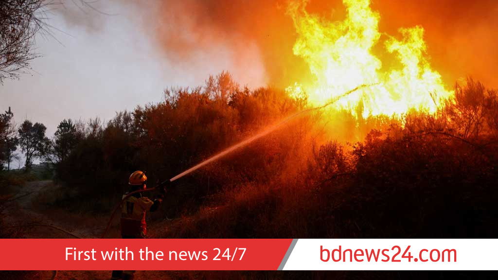 2025 was 3rd-warmest year on record: scientists