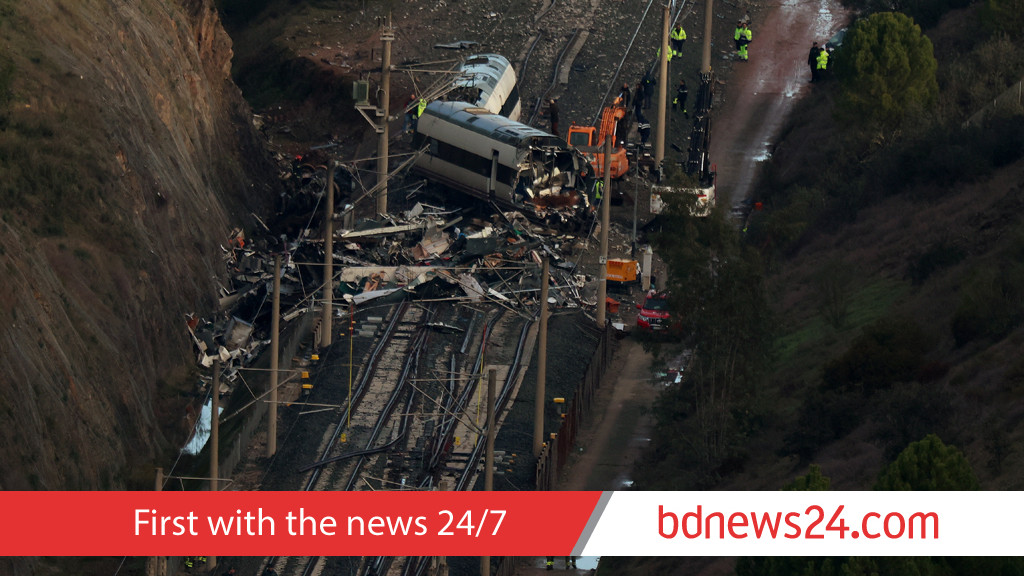 Spanish train crash: missing dog rescued