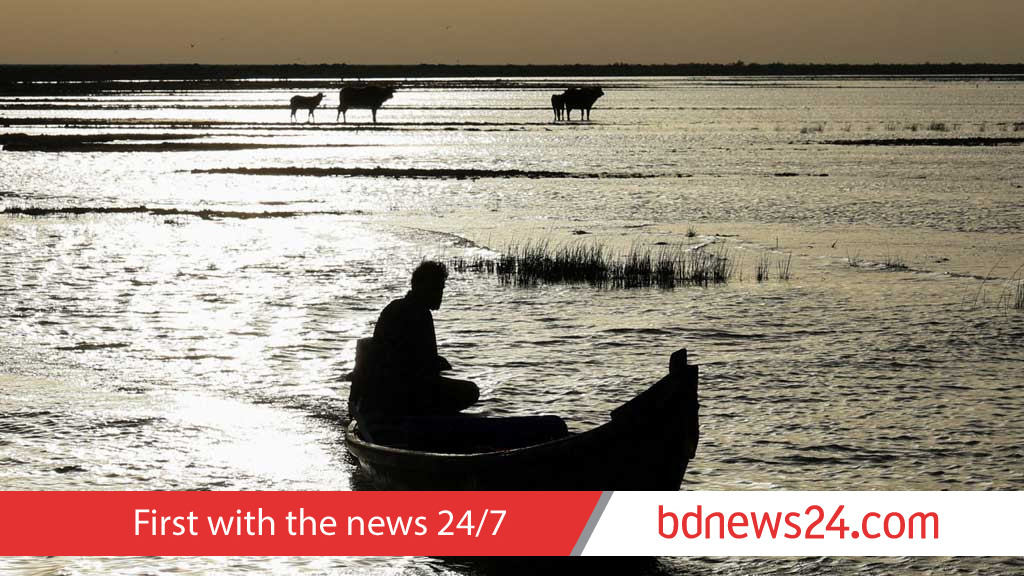 Iraq’s marshes revive as water returns after drought